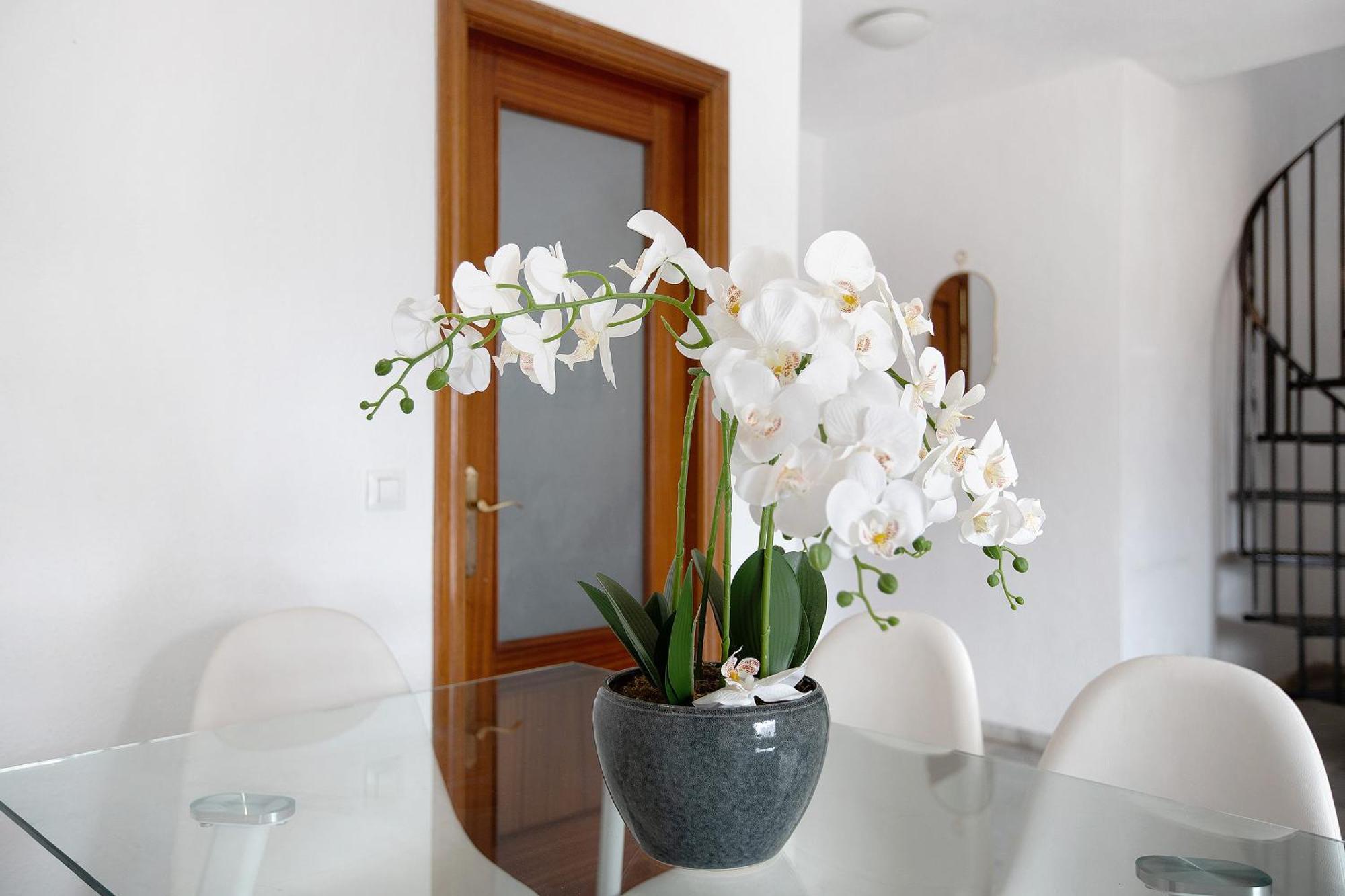 Ferienwohnung Atico Duplex En Málaga Exterior foto